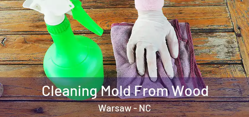  Cleaning Mold From Wood Warsaw - NC