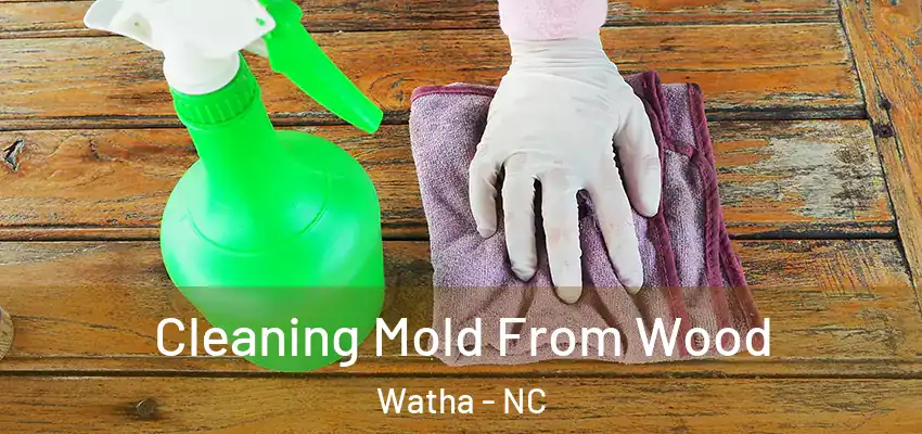  Cleaning Mold From Wood Watha - NC