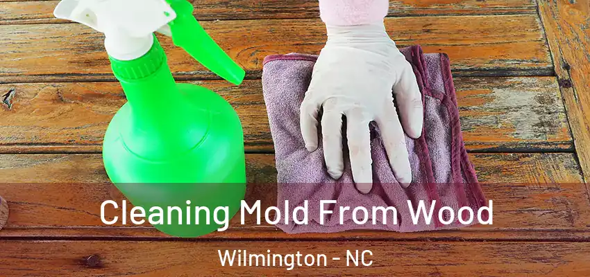  Cleaning Mold From Wood Wilmington - NC