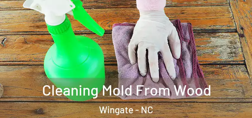 Cleaning Mold From Wood Wingate - NC
