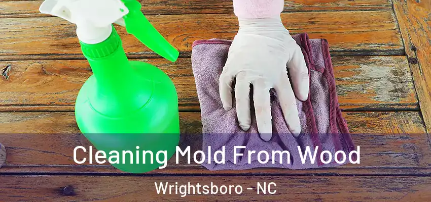  Cleaning Mold From Wood Wrightsboro - NC