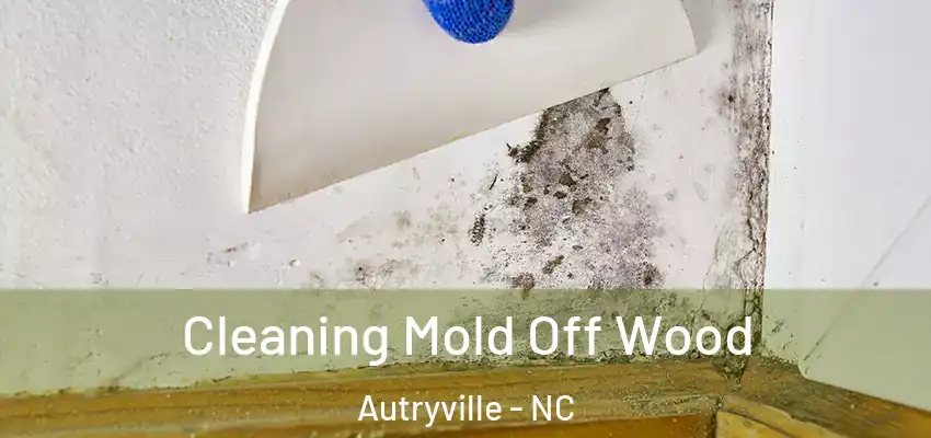  Cleaning Mold Off Wood Autryville - NC