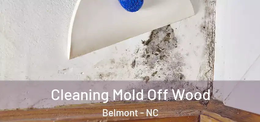  Cleaning Mold Off Wood Belmont - NC