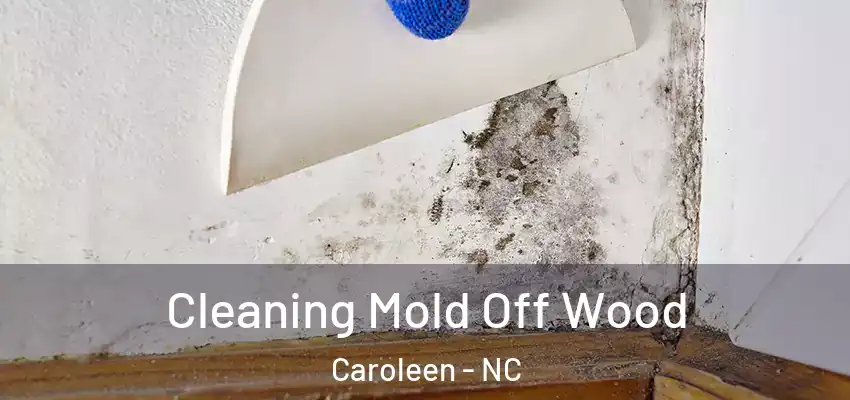  Cleaning Mold Off Wood Caroleen - NC