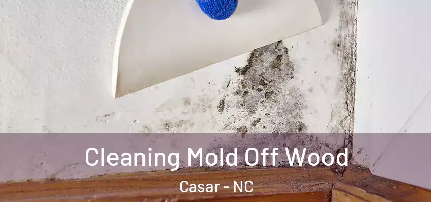  Cleaning Mold Off Wood Casar - NC