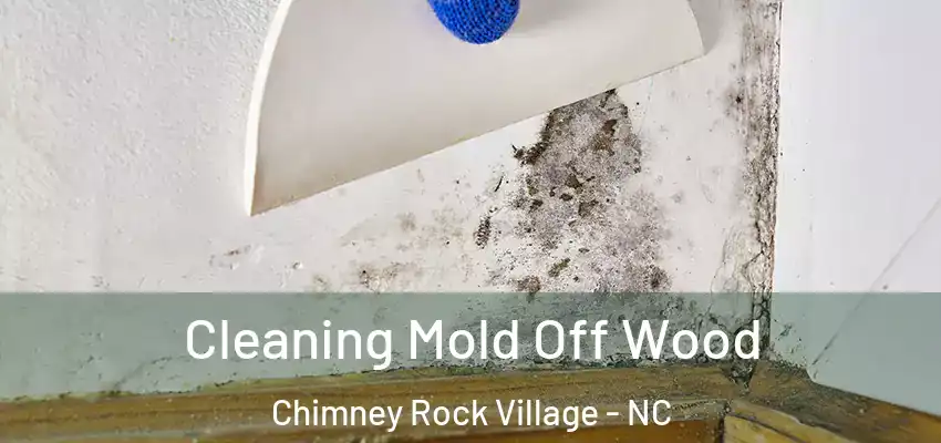  Cleaning Mold Off Wood Chimney Rock Village - NC