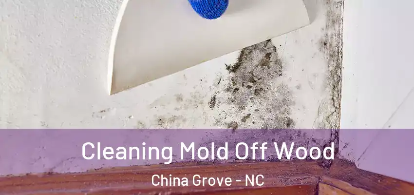  Cleaning Mold Off Wood China Grove - NC