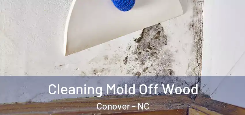 Cleaning Mold Off Wood Conover - NC