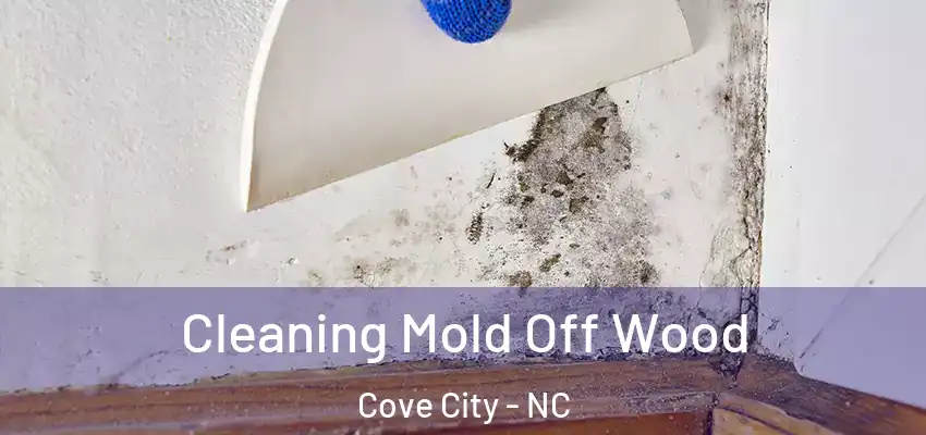  Cleaning Mold Off Wood Cove City - NC