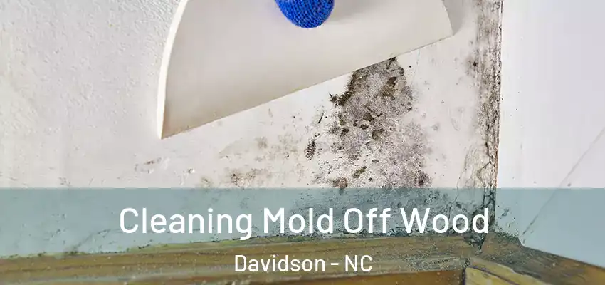 Cleaning Mold Off Wood Davidson - NC