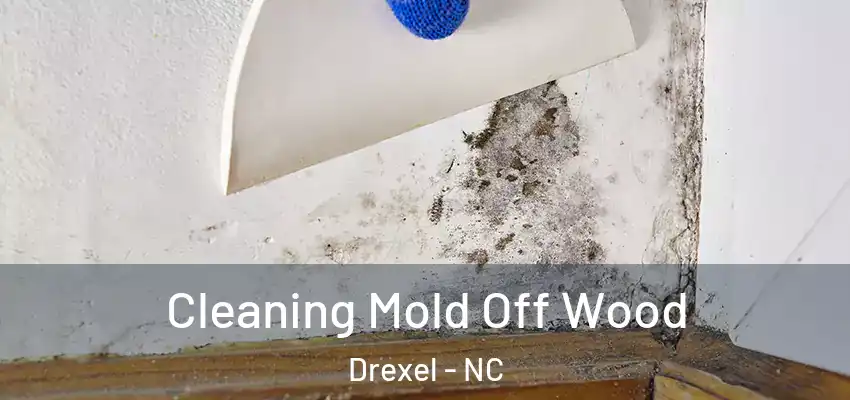  Cleaning Mold Off Wood Drexel - NC
