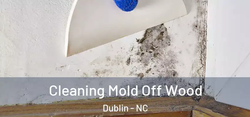 Cleaning Mold Off Wood Dublin - NC