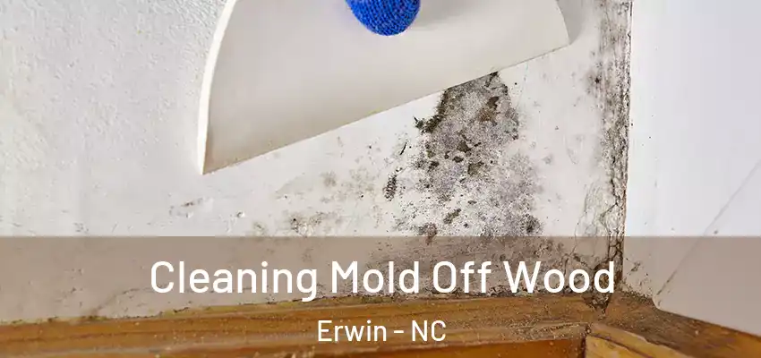  Cleaning Mold Off Wood Erwin - NC