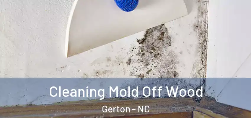  Cleaning Mold Off Wood Gerton - NC