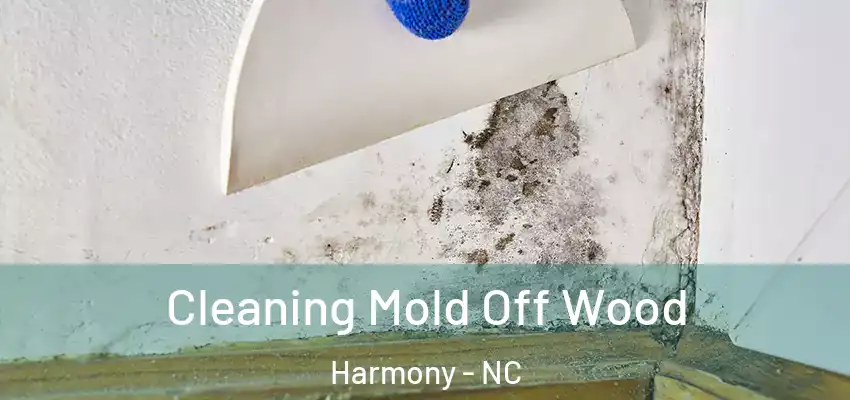 Cleaning Mold Off Wood Harmony - NC