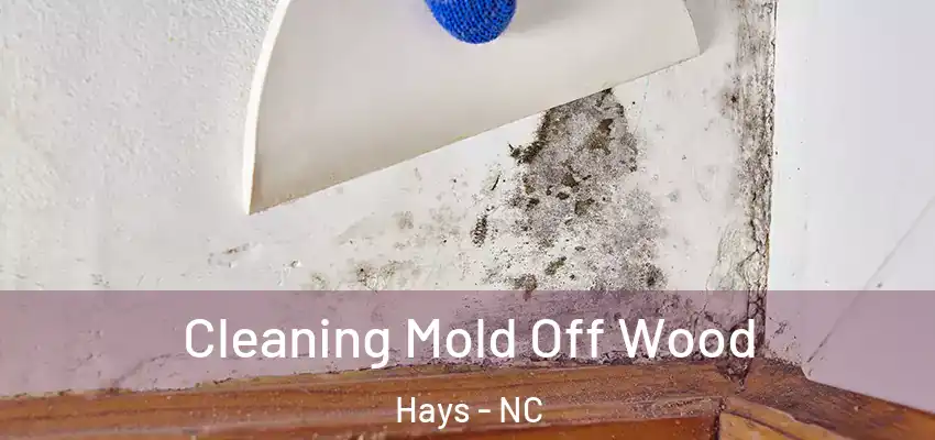  Cleaning Mold Off Wood Hays - NC