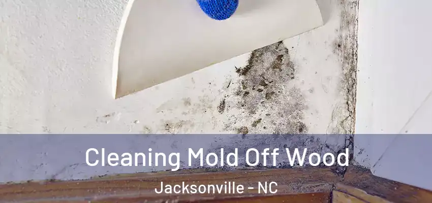  Cleaning Mold Off Wood Jacksonville - NC