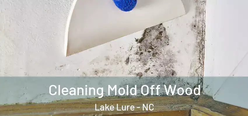 Cleaning Mold Off Wood Lake Lure - NC
