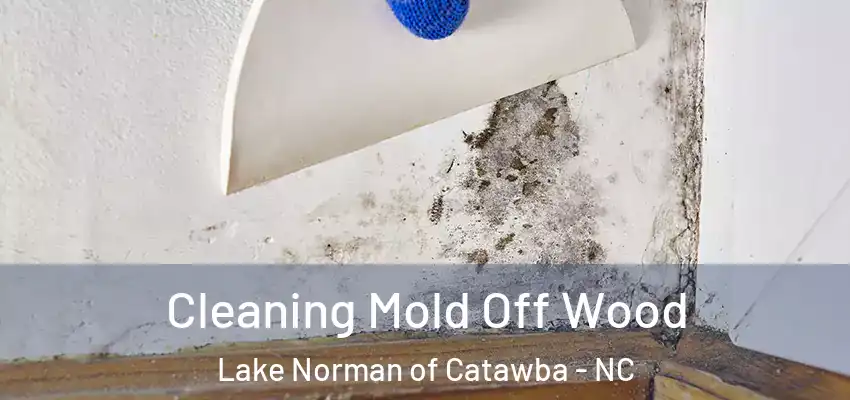  Cleaning Mold Off Wood Lake Norman of Catawba - NC