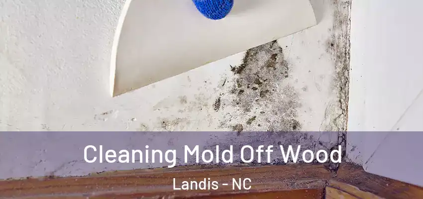 Cleaning Mold Off Wood Landis - NC