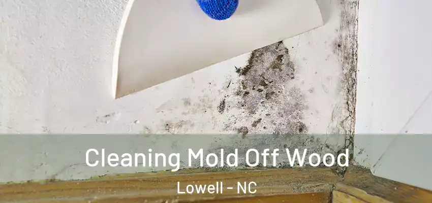Cleaning Mold Off Wood Lowell - NC