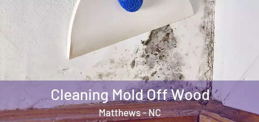Cleaning Mold Off Wood Matthews - NC