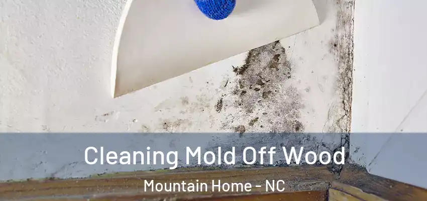 Cleaning Mold Off Wood Mountain Home - NC