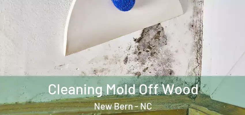 Cleaning Mold Off Wood New Bern - NC