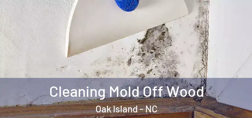 Cleaning Mold Off Wood Oak Island - NC