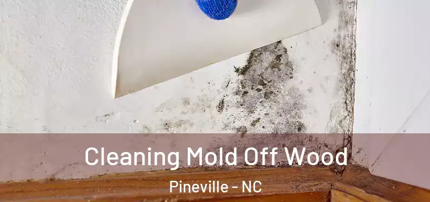 Cleaning Mold Off Wood Pineville - NC