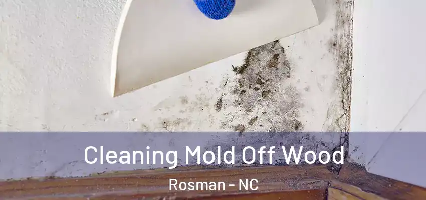  Cleaning Mold Off Wood Rosman - NC