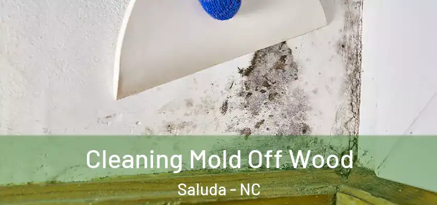 Cleaning Mold Off Wood Saluda - NC