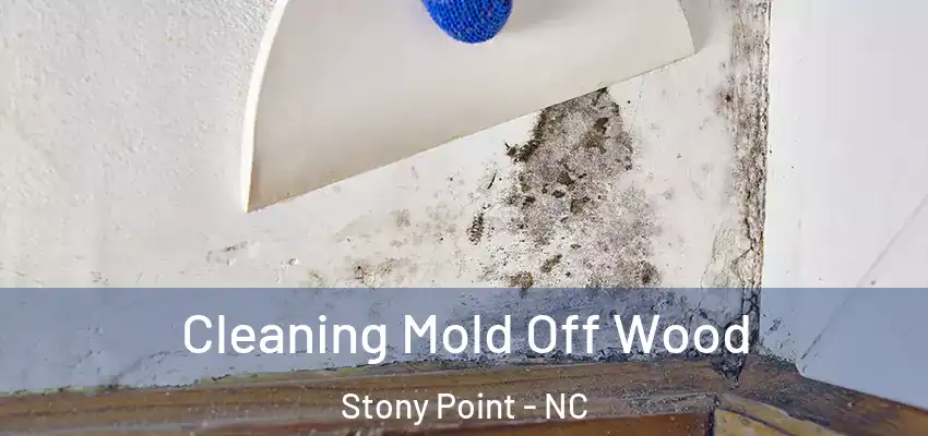  Cleaning Mold Off Wood Stony Point - NC