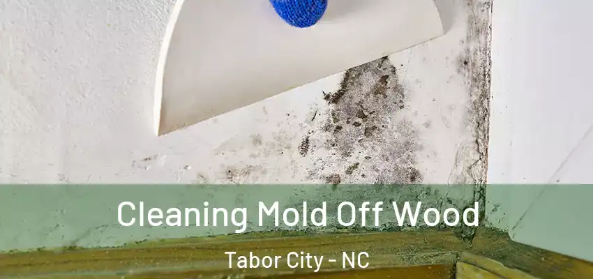 Cleaning Mold Off Wood Tabor City - NC