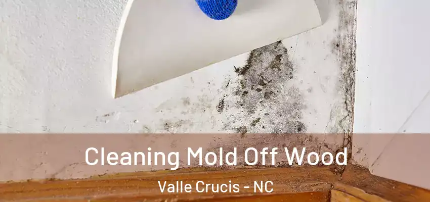 Cleaning Mold Off Wood Valle Crucis - NC