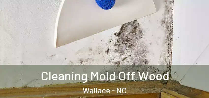 Cleaning Mold Off Wood Wallace - NC