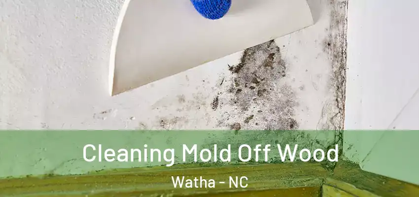  Cleaning Mold Off Wood Watha - NC