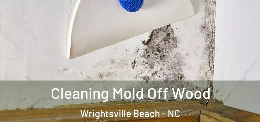 Cleaning Mold Off Wood Wrightsville Beach - NC