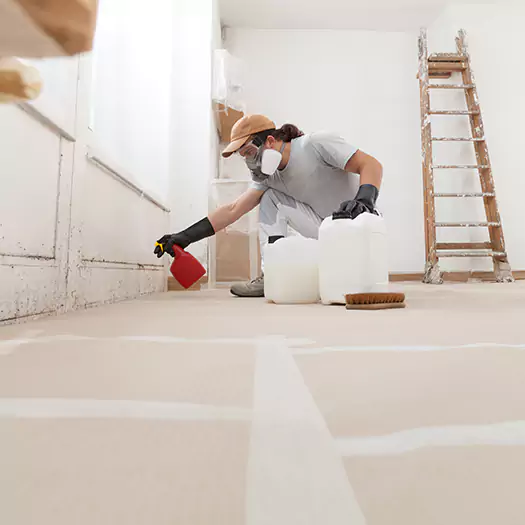 Reliable Mold Stain Remover Specialists in Jacksonville, NC