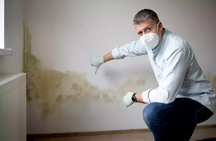 Mold Removal in Jacksonville, NC