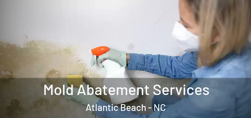  Mold Abatement Services Atlantic Beach - NC
