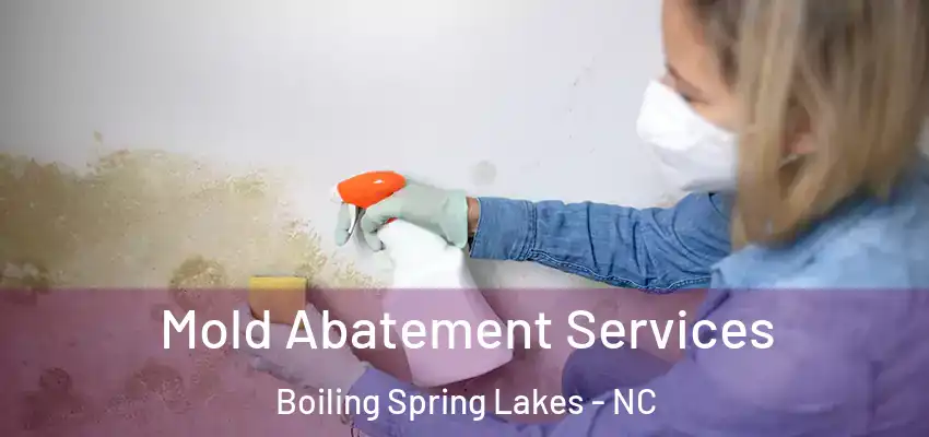  Mold Abatement Services Boiling Spring Lakes - NC