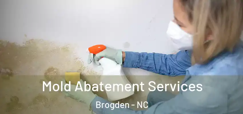  Mold Abatement Services Brogden - NC