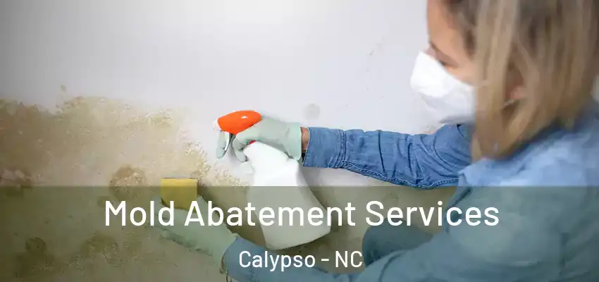 Mold Abatement Services Calypso - NC