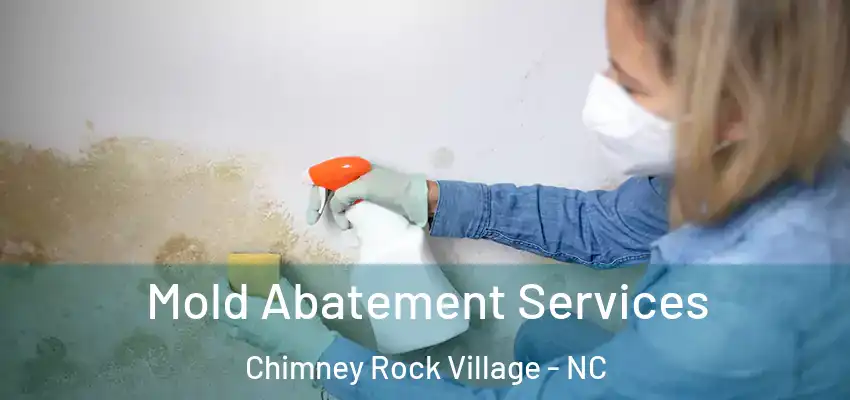  Mold Abatement Services Chimney Rock Village - NC