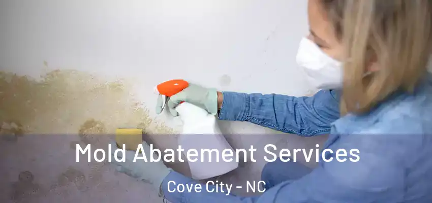 Mold Abatement Services Cove City - NC
