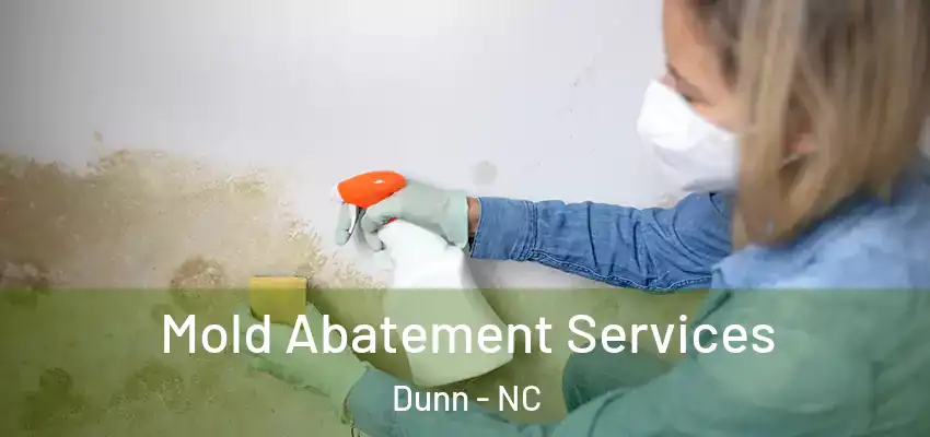 Mold Abatement Services Dunn - NC
