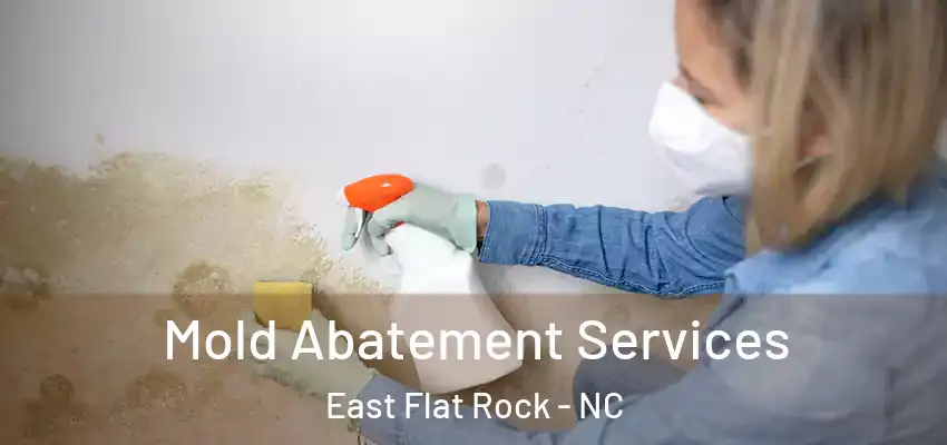 Mold Abatement Services East Flat Rock - NC