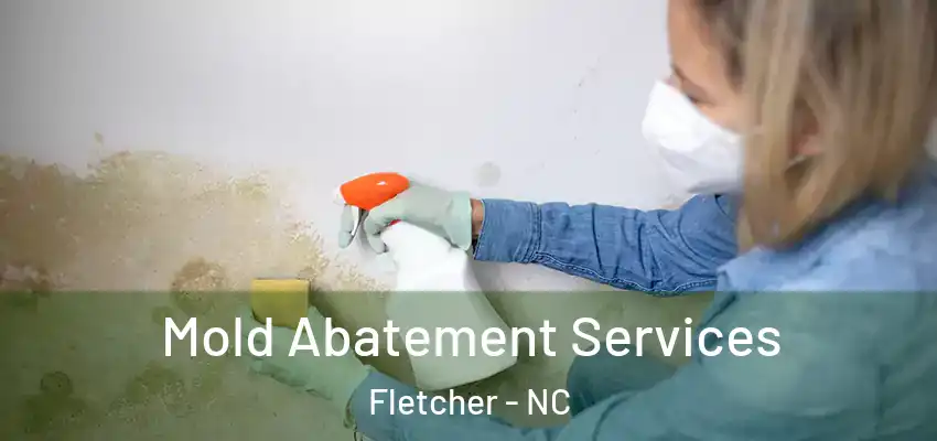  Mold Abatement Services Fletcher - NC
