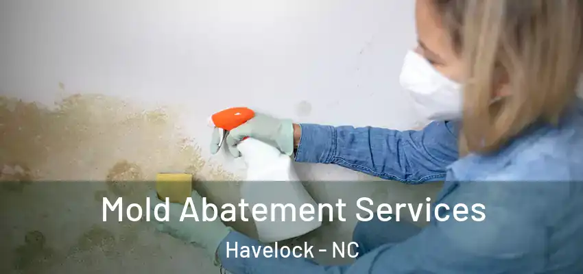  Mold Abatement Services Havelock - NC